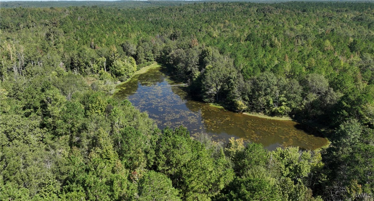 00001 Spring Road, Sweet Water, Alabama image 7