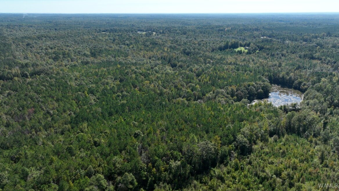 00001 Spring Road, Sweet Water, Alabama image 1