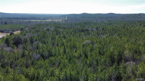 Vacant Land For Sale - 1 County Road 51<br/> Fayette, AL 35555