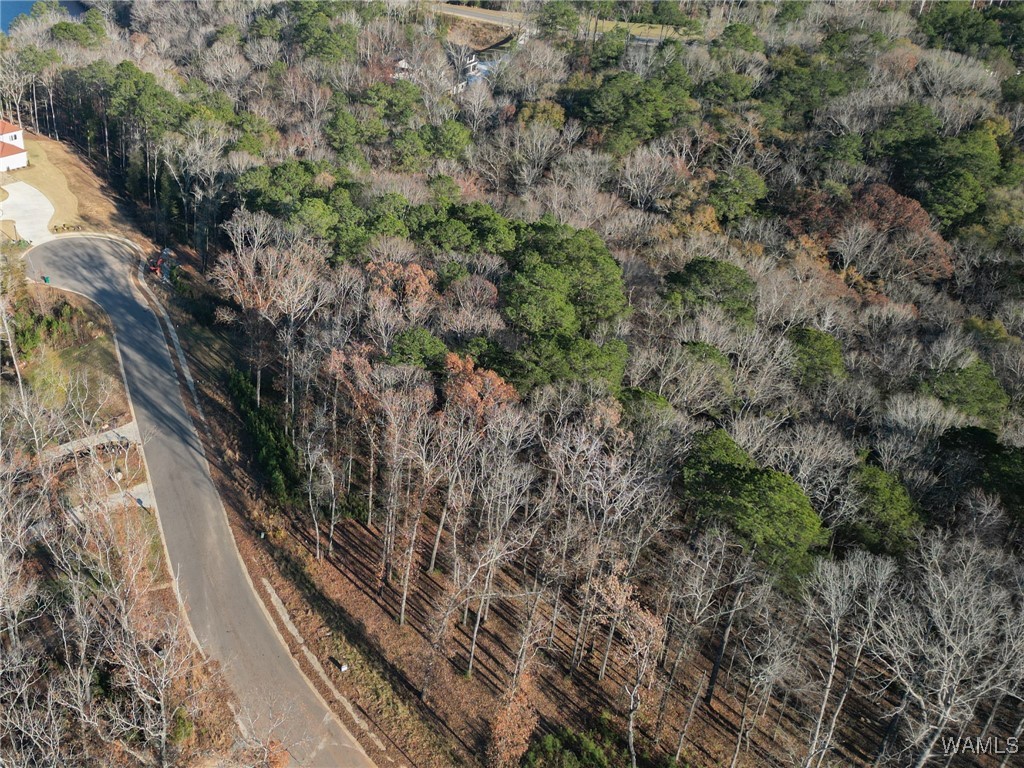 Edgewater Drive, North Port, Alabama image 19