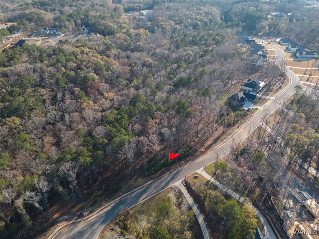 Edgewater Drive, North Port, Alabama image 8