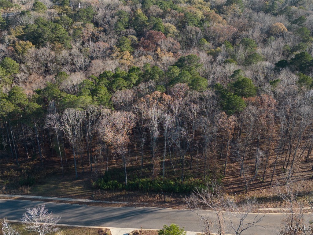 Edgewater Drive, North Port, Alabama image 6