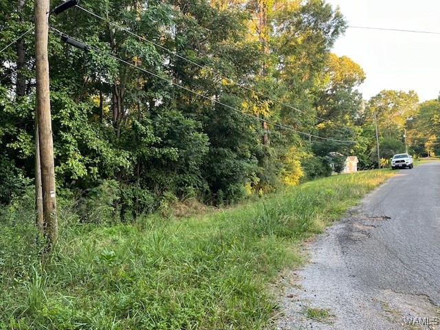 00 Riverview Road, Centreville, Alabama image 1