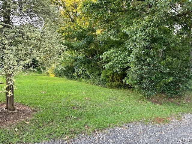00 Riverview Road, Centreville, Alabama image 3