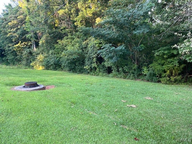 00 Riverview Road, Centreville, Alabama image 2