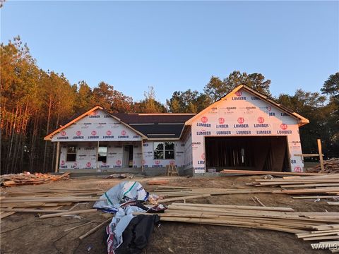 11676 River Point Lane Tuscaloosa AL 35405
