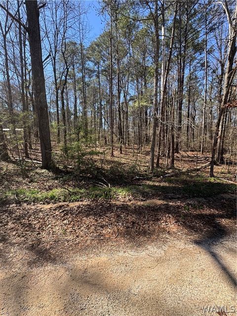 Vacant Land For Sale - 00 Muriel Drive<br/> Vance, AL 35490