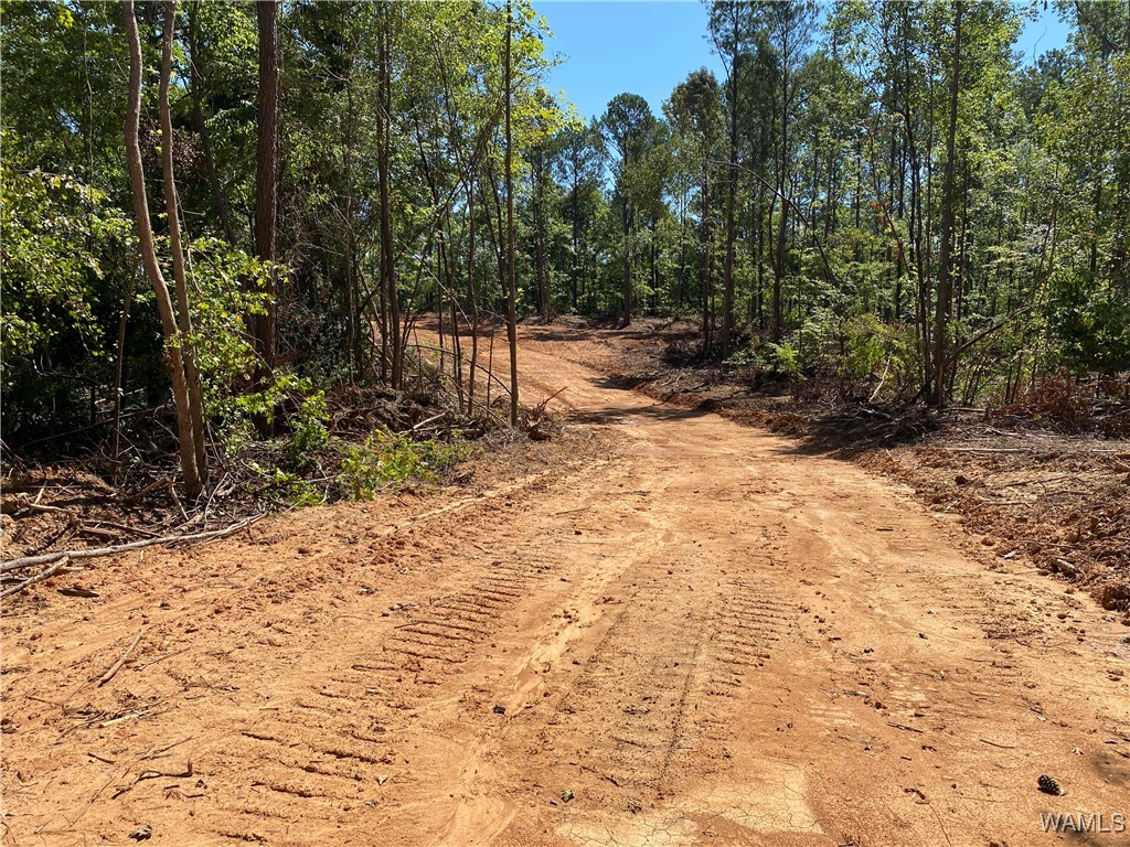 Jones Road, North Port, Alabama image 14