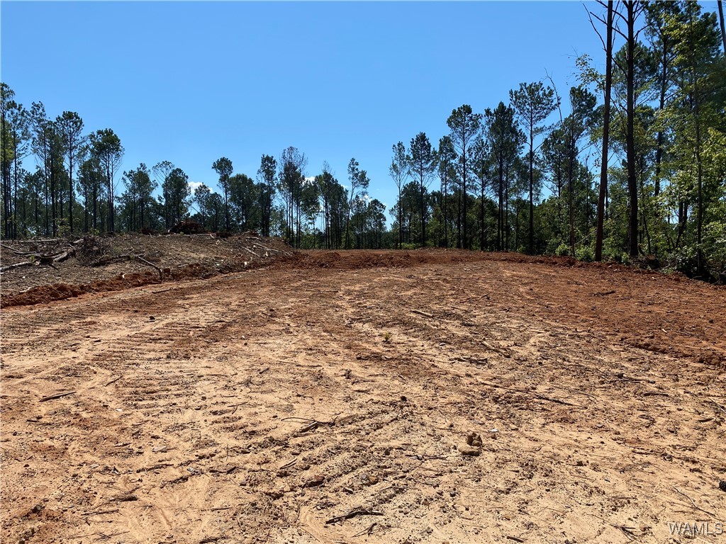 Jones Road, North Port, Alabama image 8