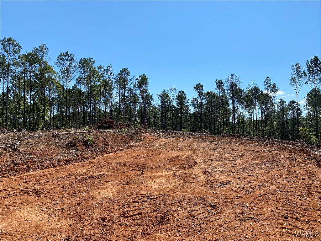 Jones Road, North Port, Alabama image 9