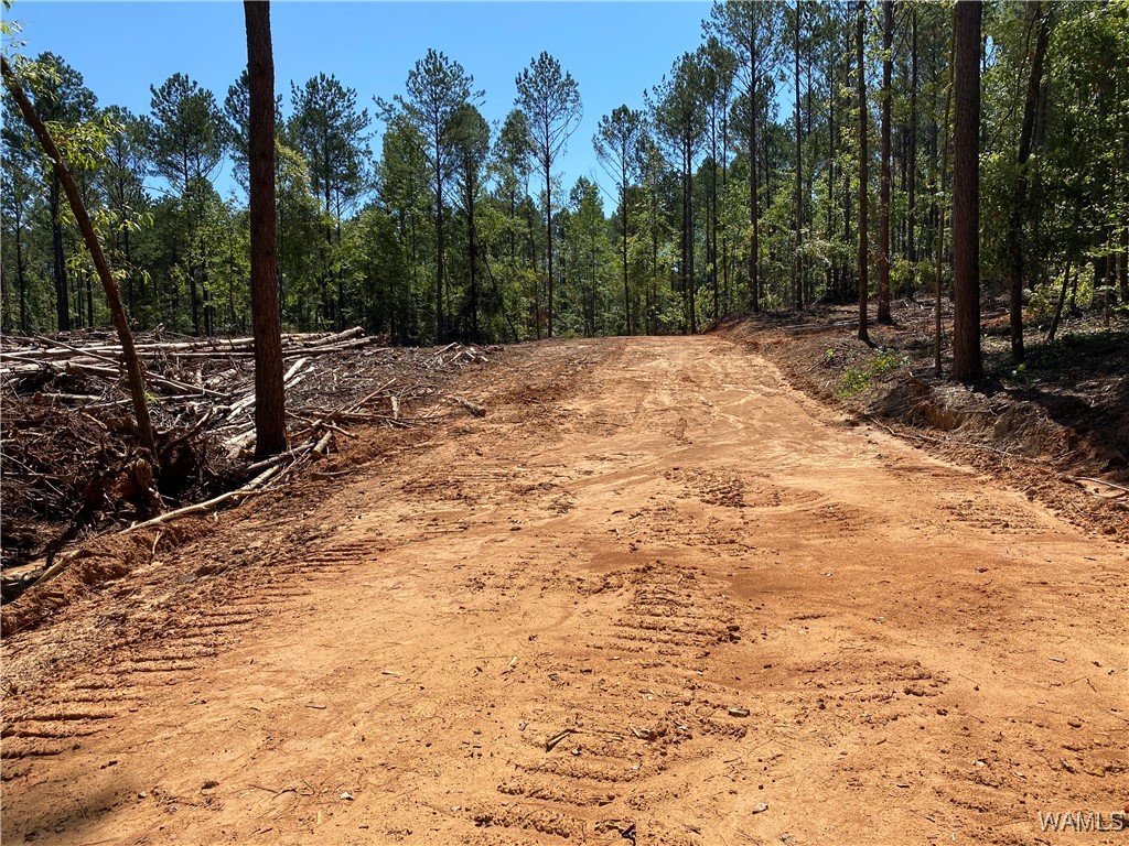 Jones Road, North Port, Alabama image 13