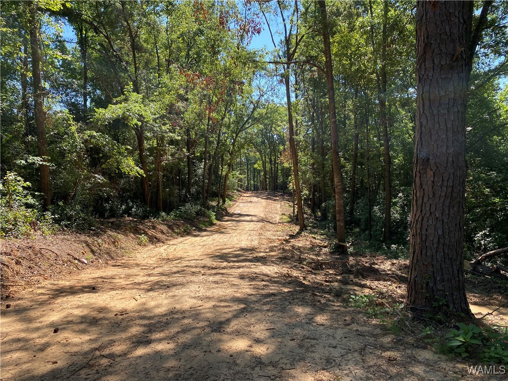 Jones Road, North Port, Alabama image 1