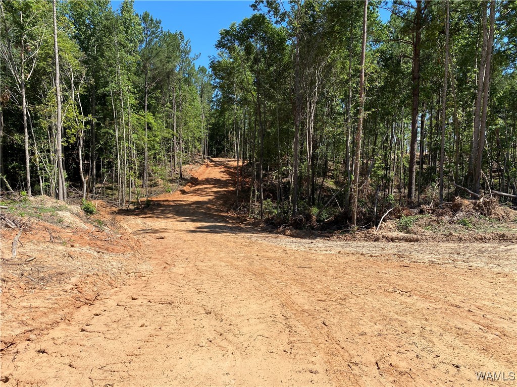 Jones Road, North Port, Alabama image 6