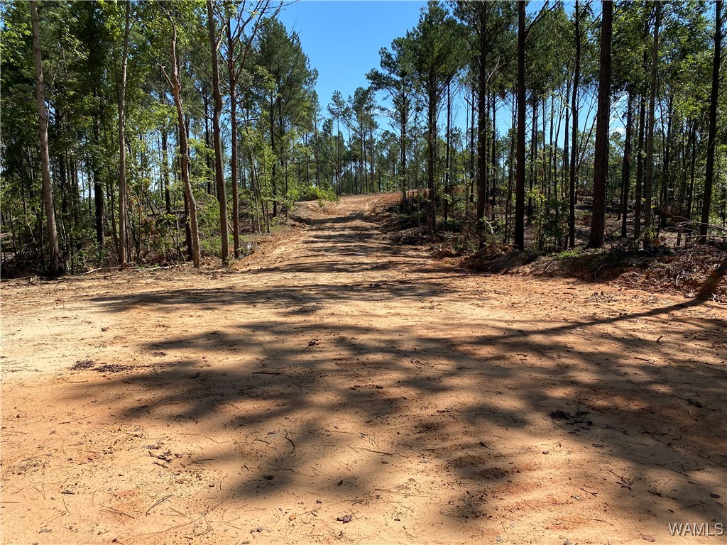 Jones Road, North Port, Alabama image 7