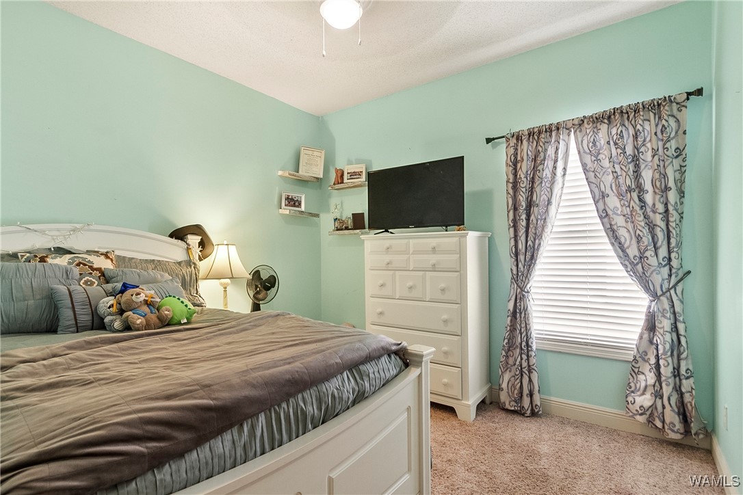 6204 Mimosa Gardens Circle, Tuscaloosa, Alabama image 19