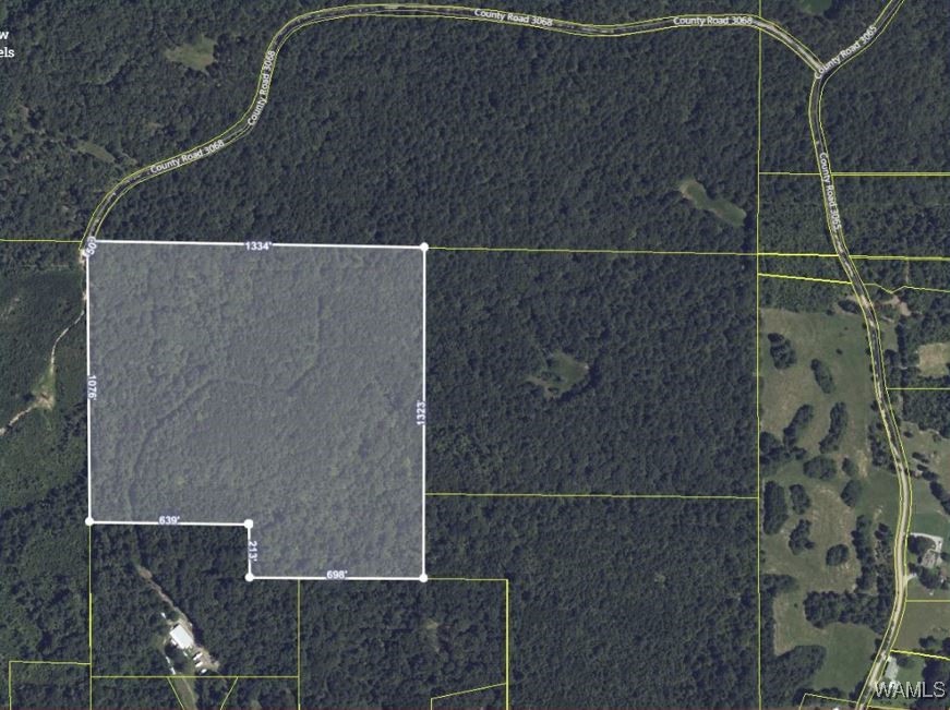 County Road 3068, Double Springs, Alabama image 1