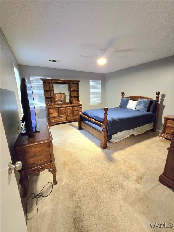 1700 21st Street, Tuscaloosa, Alabama image 12