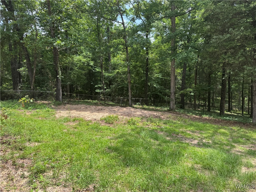 4810 Cumberland Road, Tuscaloosa, Alabama image 18