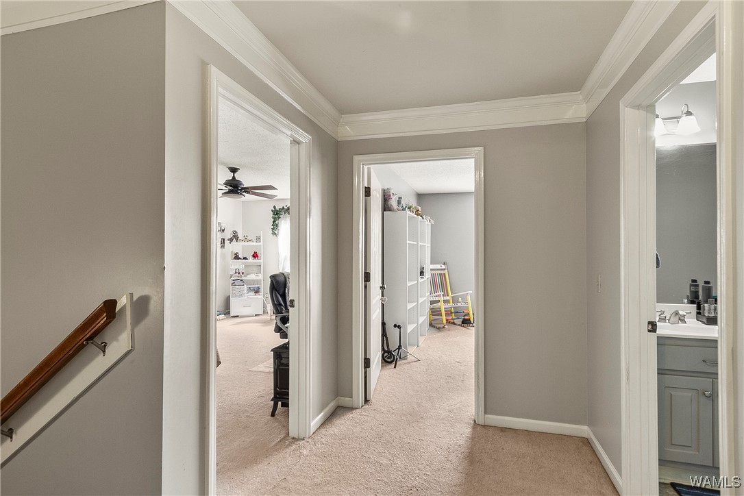 11908 Aspenwood Drive, Moundville, Alabama image 30