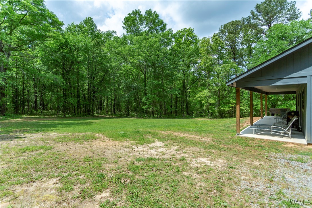 12258 Richard Street, McCalla, Alabama image 32