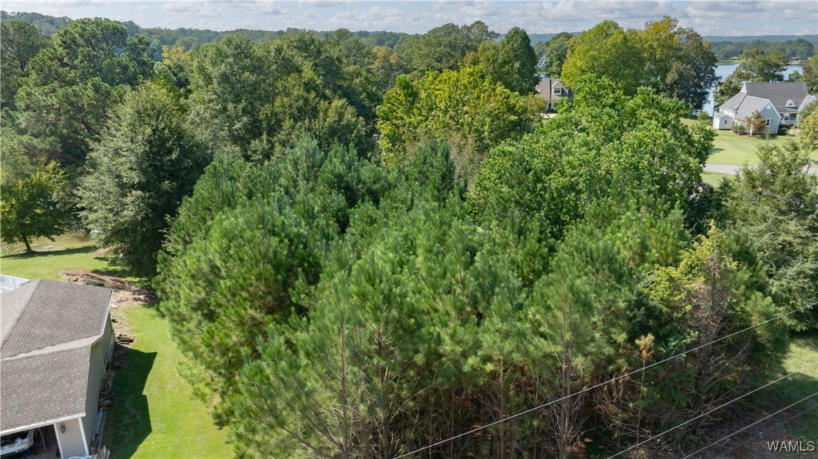 Sarah Baker Drive, North Port, Alabama image 8