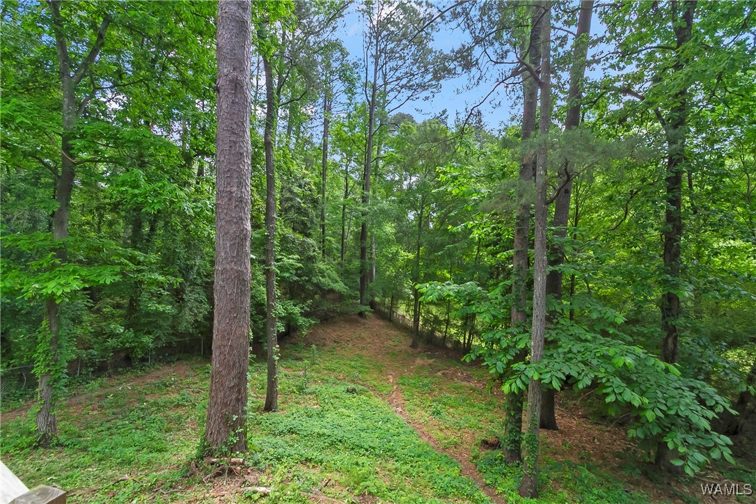 5205 Dove Creek Avenue, North Port, Alabama image 39