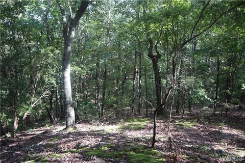 Vacant Land For Sale - 000 Oak Ridge Road<br/> Fayette, AL 35555
