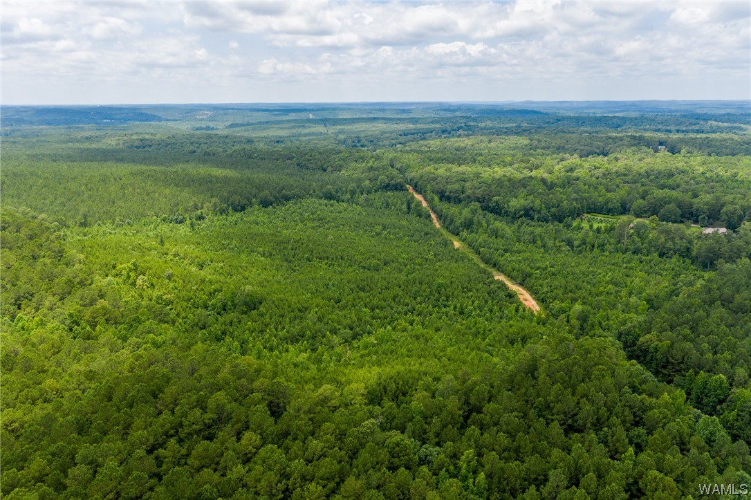 000 Calhoun Rd Road, Mccalla, Alabama image 18