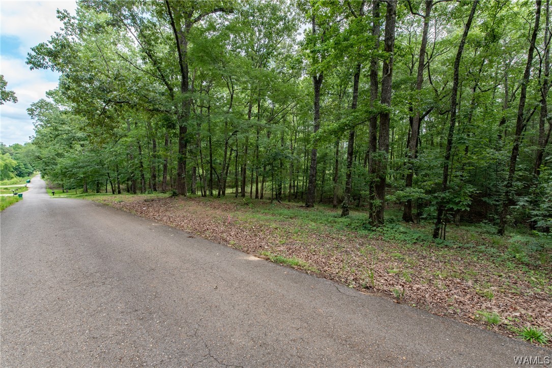 000 Calhoun Rd Road, Mccalla, Alabama image 6