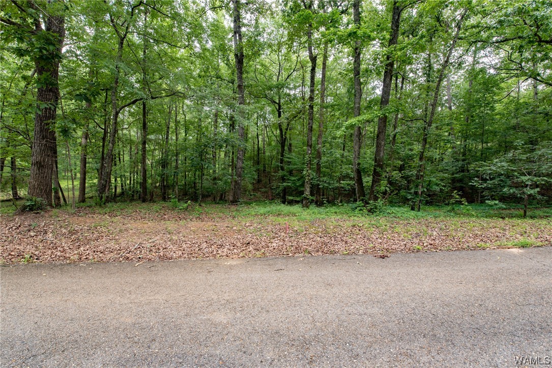 000 Calhoun Rd Road, Mccalla, Alabama image 8