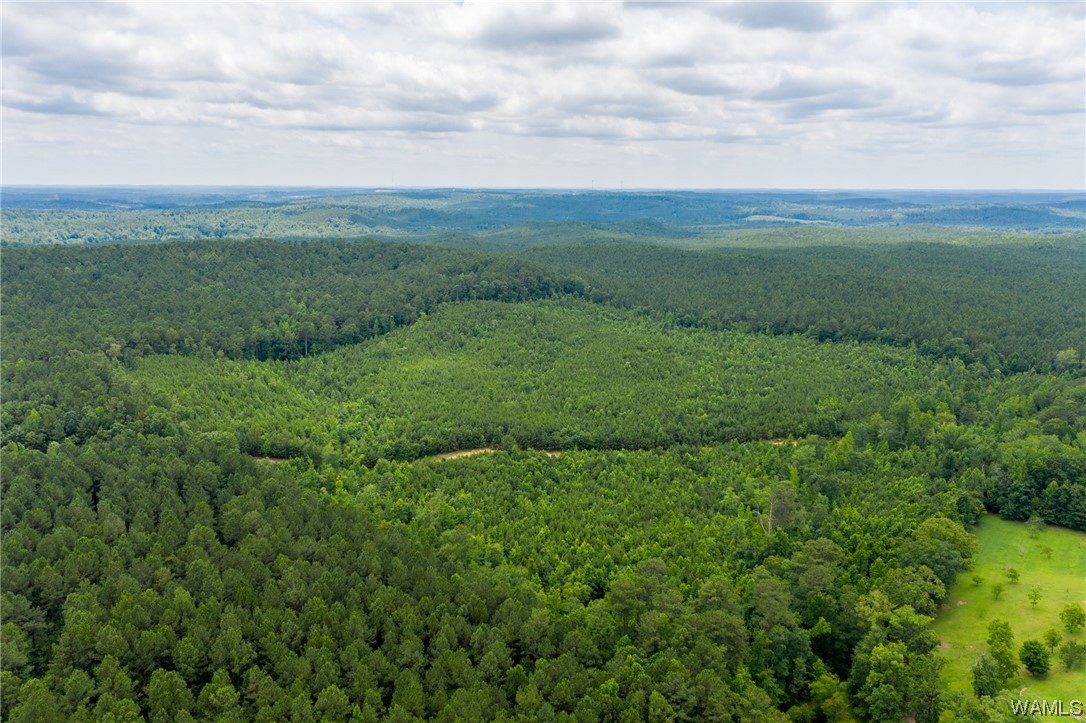 000 Calhoun Rd Road, Mccalla, Alabama image 14