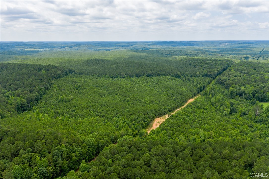 000 Calhoun Rd Road, Mccalla, Alabama image 15