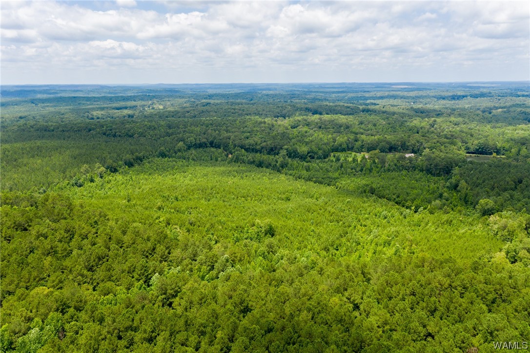 000 Calhoun Rd Road, Mccalla, Alabama image 19