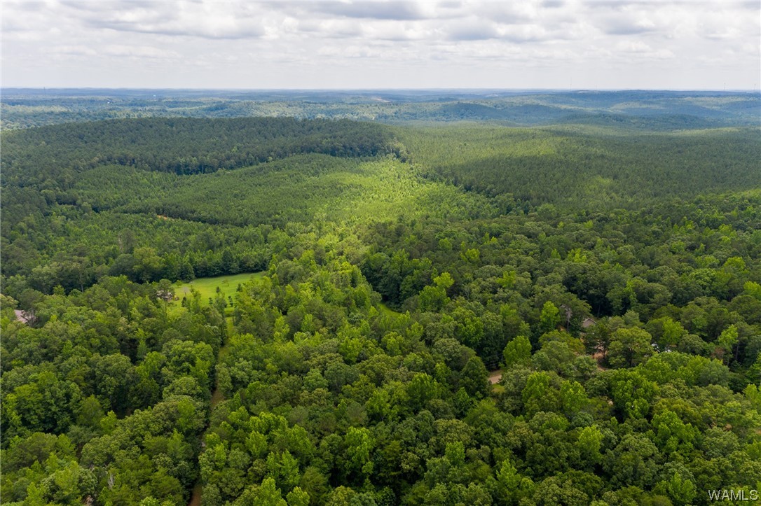 000 Calhoun Rd Road, Mccalla, Alabama image 31