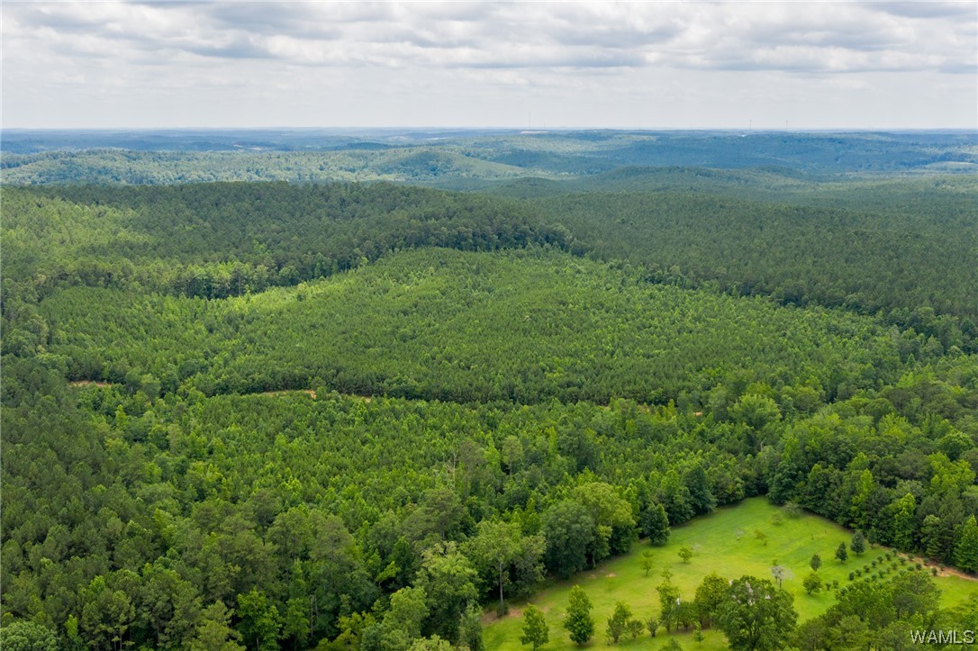 000 Calhoun Rd Road, Mccalla, Alabama image 12