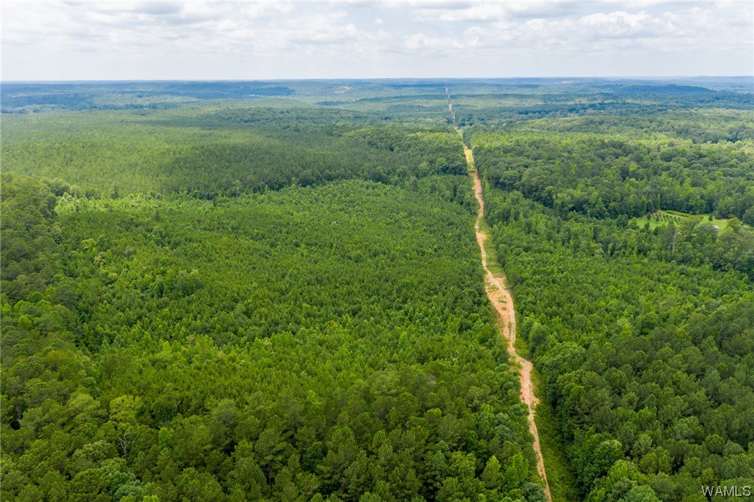 000 Calhoun Rd Road, Mccalla, Alabama image 17