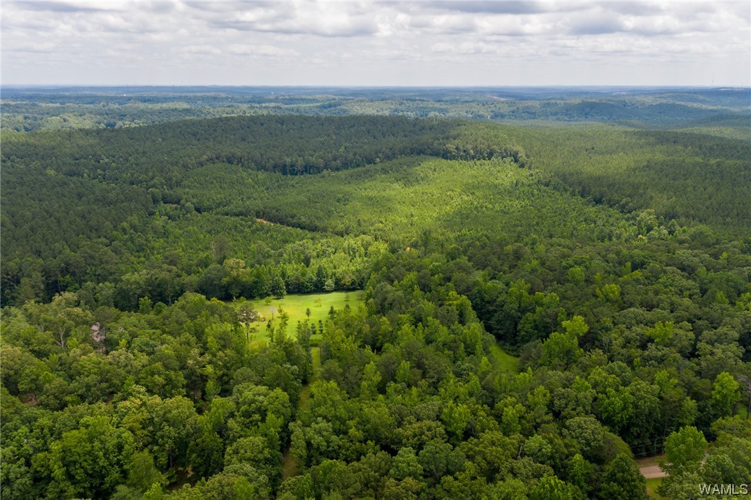 000 Calhoun Rd Road, Mccalla, Alabama image 1