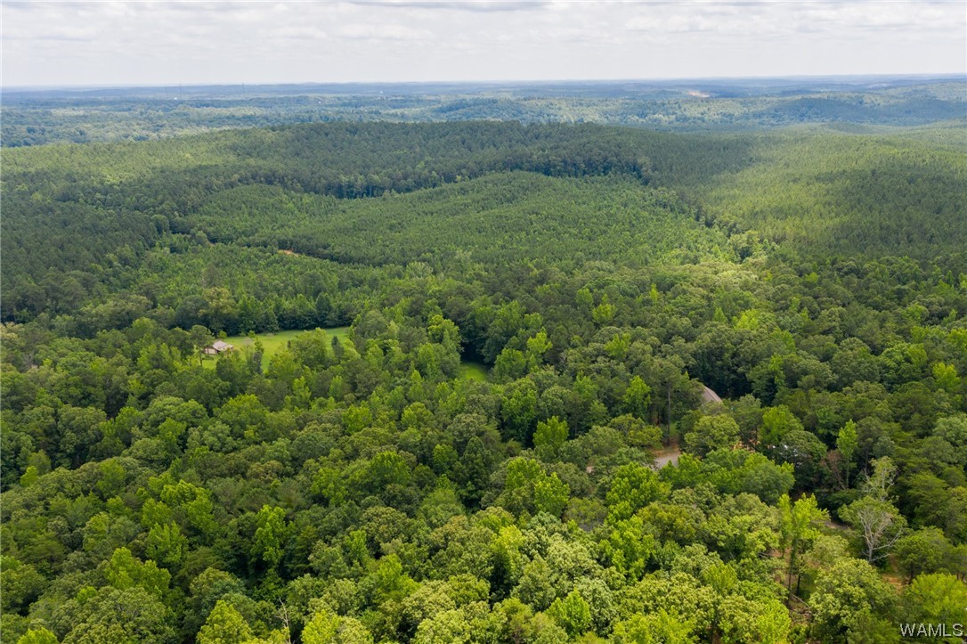 000 Calhoun Rd Road, Mccalla, Alabama image 30