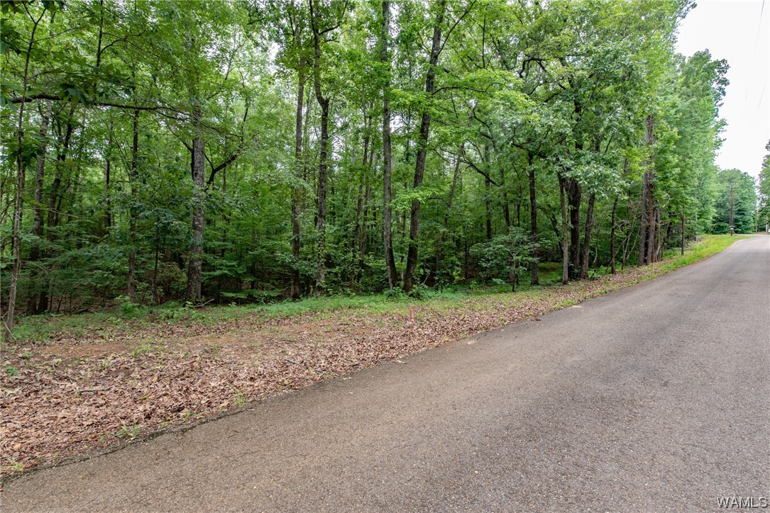 000 Calhoun Rd Road, Mccalla, Alabama image 9