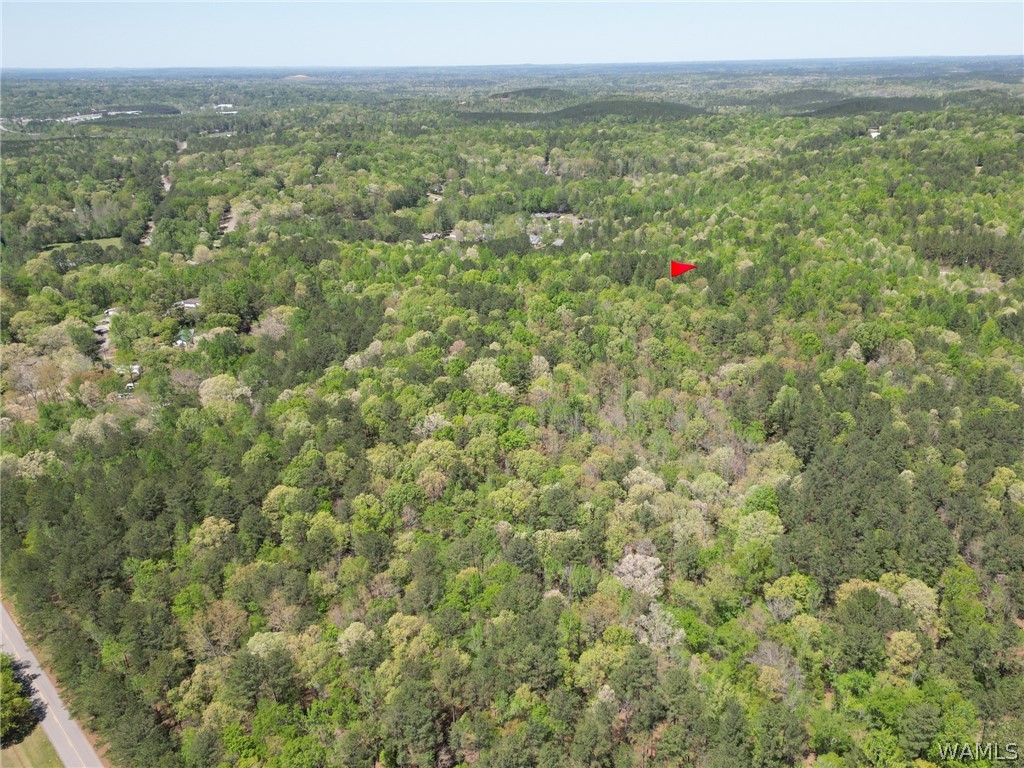 Clements Road, Cottondale, Alabama image 13