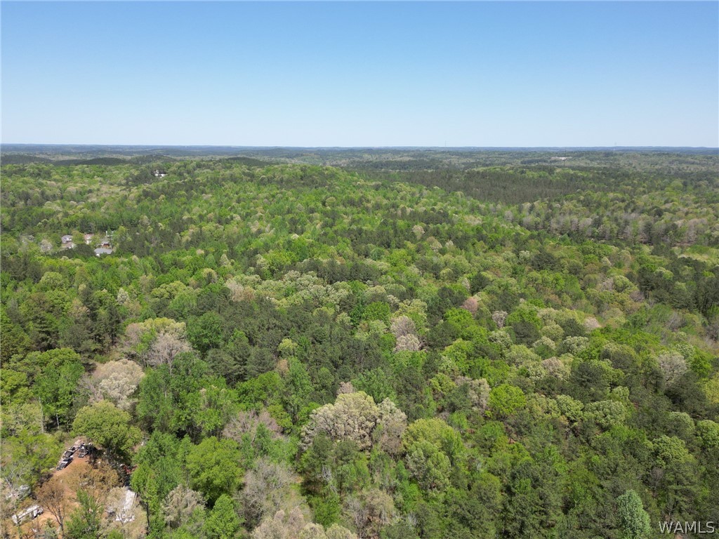 Clements Road, Cottondale, Alabama image 8