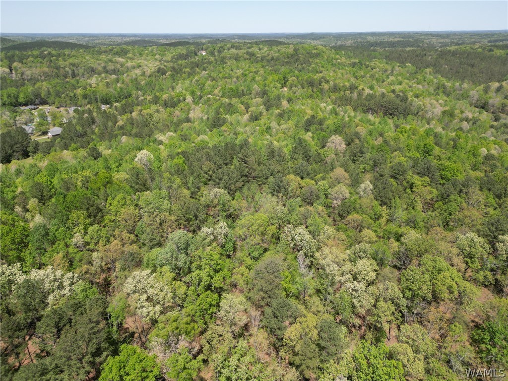 Clements Road, Cottondale, Alabama image 19