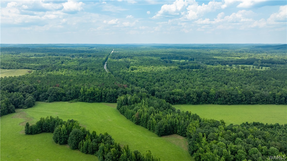 Highway 171, Fayette, Alabama image 17