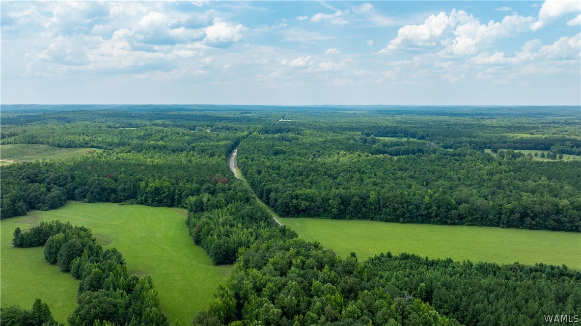 Highway 171, Fayette, Alabama image 18