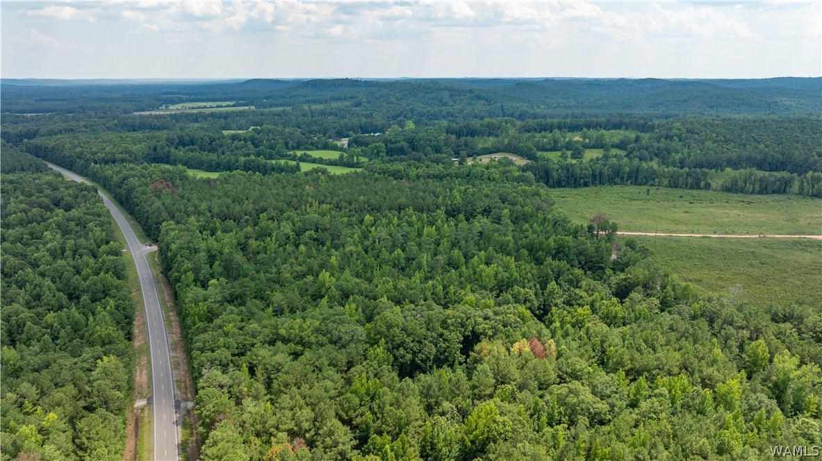 Highway 171, Fayette, Alabama image 13