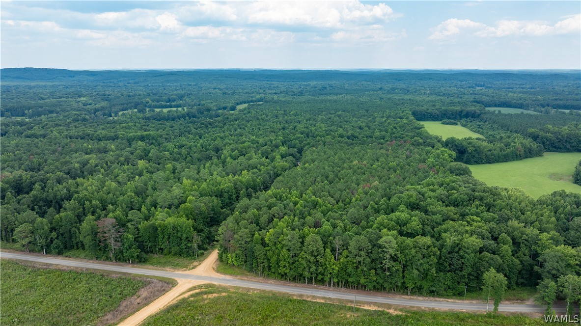 Highway 171, Fayette, Alabama image 4