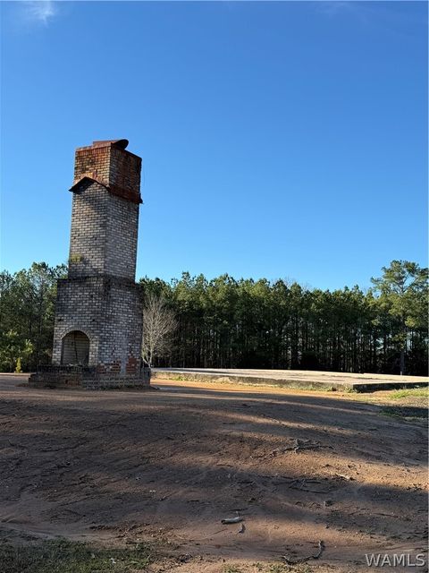 Vacant Land For Sale - 15712 Highway 69n<br/> North Port, AL 35475