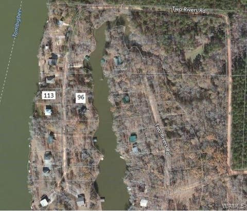 Vacant Land For Sale - 96 Two Rivers Road<br/> Greene County, West Greene, AL 35462