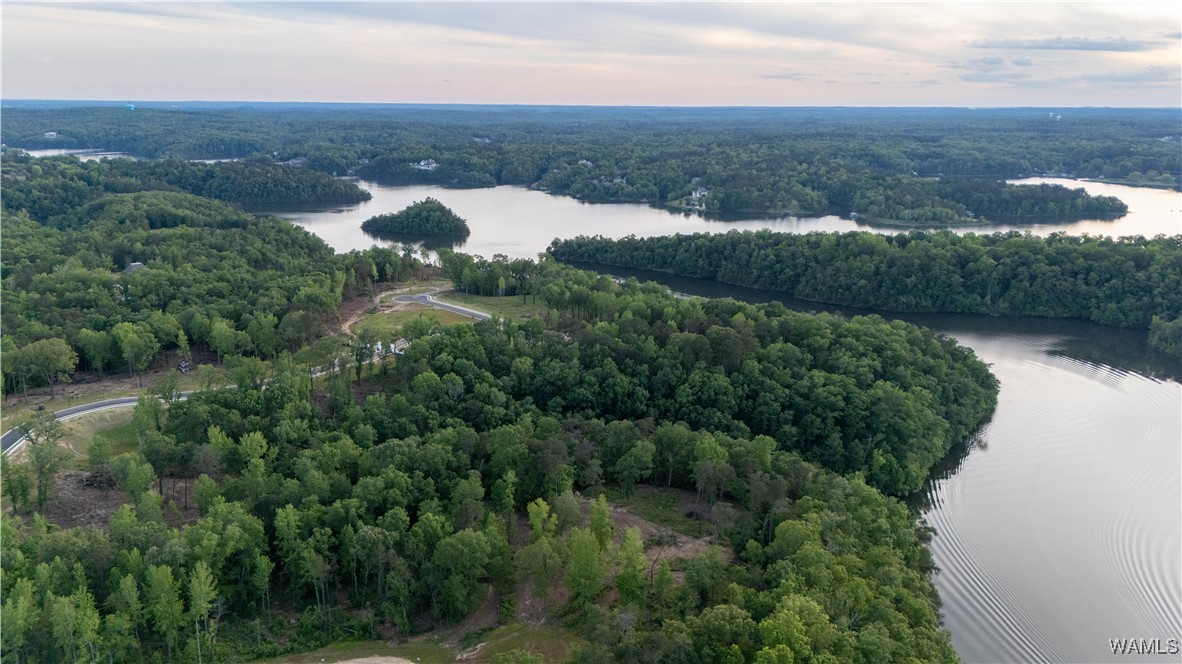 9 Lake Island Rd, Tuscaloosa, Alabama image 11