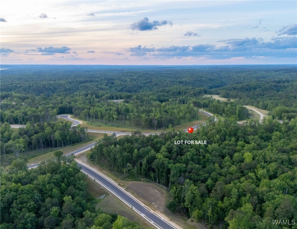 9 Lake Island Rd, Tuscaloosa, Alabama image 1